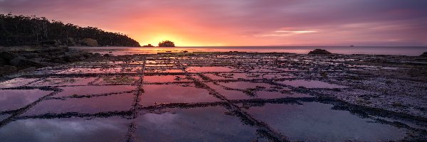 Tessellated Pavement, Morze, Australia, Tasmania, Mozaikowa skała, 
Zatoka Piratów, Eaglehawk Neck, Wschód słońca