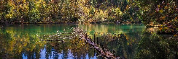 Konar, Góry, Jezioro, Kanton Gryzonia, Szwajcaria, Drzewa, Lake Cresta