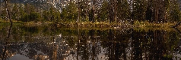 Potok, Góra, Sawtooth Range, Drzewa, Odbicie, Stan Idaho, McGown Peak, Rośliny, Stanley Creek, Stany Zjednoczone, Rzeka, Góry