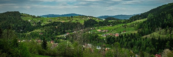 Drzewa, Domy, Wzgórza, Polska, Beskidy, Góry Gorce