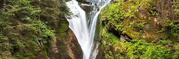 Polska, Skały, Roślinność, Las, Wodospad Szklarki, Powiat jeleniogórski, Piechowice