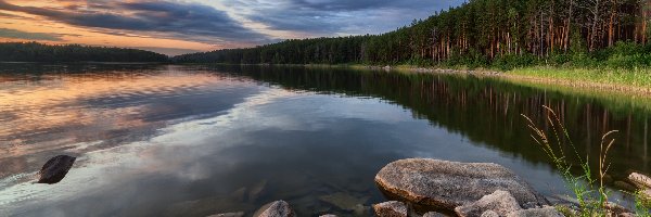 Wysokie, Kamienie, Lasy, Drzewa, Brzeg, Jezioro