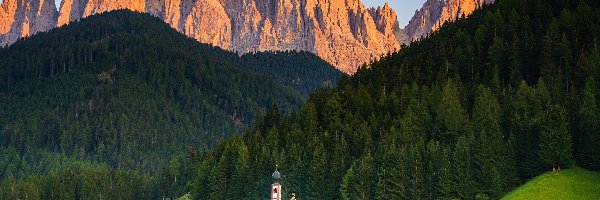 Dolina Val di Funes, Południowy Tyrol, Trawa, Santa Maddalena, Dolomity, Kościół św Jana, Wieś, Włochy, Góry, Drzewa