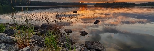 Jezioro, Trawa, Kamienie, Zachód słońca, Rośliny