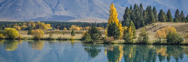 Lake Ruataniwha, Lasy, Jezioro, Jesień, Góry, Nowa Zelandia