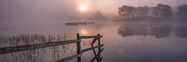 Szkocja, Drzewa, Wschód słońca, Knapps Loch, Jezioro, Mgła, Łódki