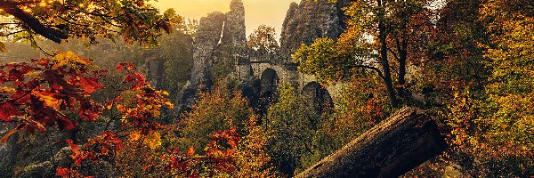 Formacja skalna, Drzewa, Niemcy, Park Narodowy Saskiej Szwajcarii, Skały, Bastei, Góry Połabskie, Jesień