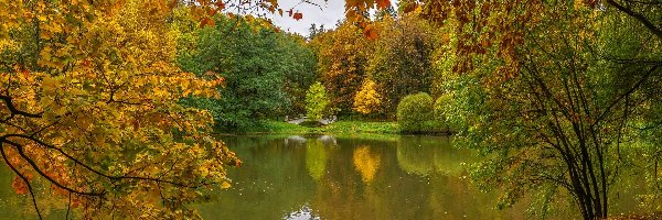 Jesień, Drzewa, Liście, Staw, Park, Chmury, Most