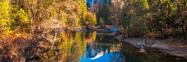 Drzewa, Park Narodowy Yosemite, Jesień, Stan Kalifornia, Stany Zjednoczone, Rzeka Merced, Góry