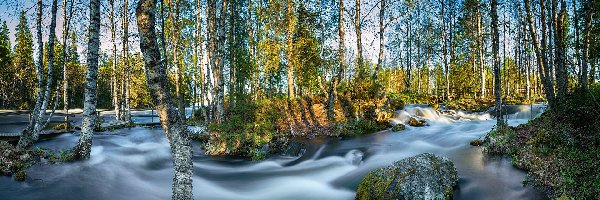 Most, Skały, River Kitkajoki, Rzeka, Rwąca, Finlandia, Laponia, Brzozy, Park Narodowy Oulanka