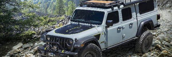 Prototyp, 2020, Jeep Gladiator Farout