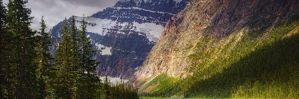 Drzewa, Park Narodowy Jasper, Lasy, Góra, Kanada, Mount Edith Cavell, Astoria River, Alberta, Rzeka, Góry, Chmury