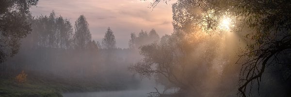 Rosja, Mgła, Rzeka Istra, Przebijające światło, Wschód słońca, Obwód moskiewski, Drzewa