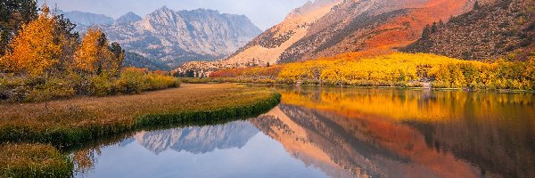 Jezioro, Drzewa, Eastern Sierra, Region, Jesień, Stany Zjednoczone, Kalifornia, Góry, North Lake