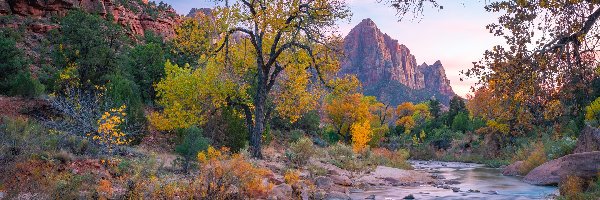 Góry, Góra Watchman, Stany Zjednoczone, Stan Utah, Drzewa, Rzeka, Virgin River, Park Narodowy Zion