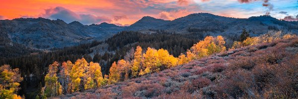Góry, Sonora Pass, Region, Kalifornia, Stany Zjednoczone, Jesień, Zachód słońca, Eastern Sierra, Drzewa