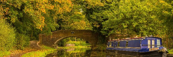 Barka, Anglia, Rzeka, Miasto Kidderminster, Jesień, Park, Most, Staffordshire and Worcestershire Canal, Drzewa, Hrabstwo Worcestershire, Kanał