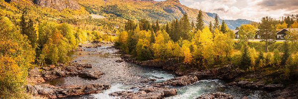 Las, Góry, Norwegia, Region Buskerud, Drzewa, Rzeka, Gmina Hemsedal, Jesień