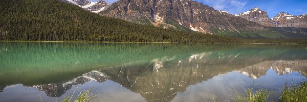 Park Narodowy Banff, Mount Chephren, Kanada, Drzewa, Waterfowl Lake, Rośliny, Kamienie, Góra, Jezioro, Alberta