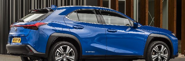 Electric, Lexus UX 300e