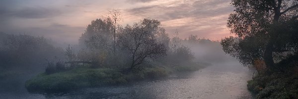 Rosja, Mgła, Rzeka Istra, Wschód słońca, Poranek, Obwód moskiewski, Drzewa