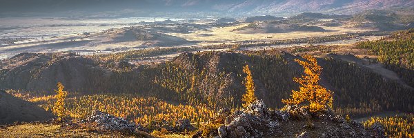 Jesień, Góry, Drzewa, Rosja, Ałtaj
