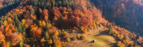 Góry, Drzewa, Dom, Jesień, Lasy, Wzgórza, Polana