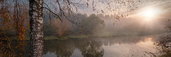 Mgła, Brzoza, Istra, Rzeka, Wschód słońca, Rosja, Obwód moskiewski, Drzewo, Jesień