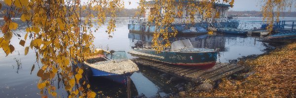 Jesień, Przystań, Jezioro, Motorówki, Brzoza, Gałęzie