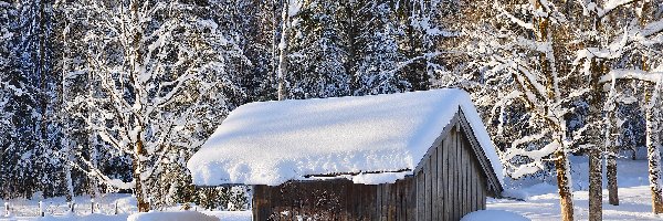 Szopa, Drzewa, Śnieg, Dom, Las, Zima