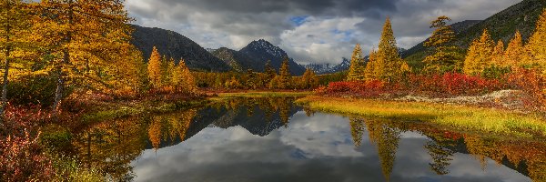 Rosja, Góry Kołymskie, Drzewa, Jack London, Jezioro, Obwód magadański, Kołyma