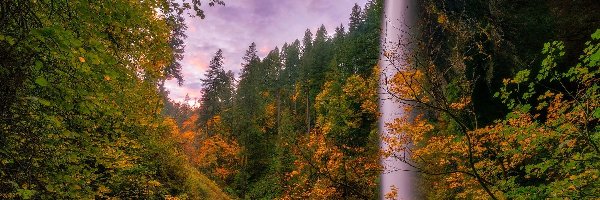 Park stanowy Silver Falls, South Falls, Stany Zjednoczone, Roślinność, Drzewa, Skały, Jesień, Wodospad, Las, Stan Oregon