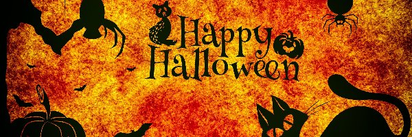 Kot, Sowa, Dynie, Halloween, Pająk
