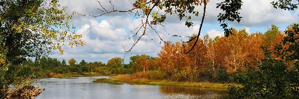 Jesień, Drzewa, Liście, Jezioro, Park, Chmury, Gałęzie