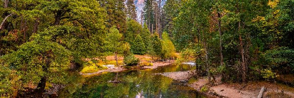 Góry, Kalifornia, Odbicie, Drzewa, Park Narodowy Yosemite, Szczyt Half Dome, Rzeka, Stany Zjednocznone