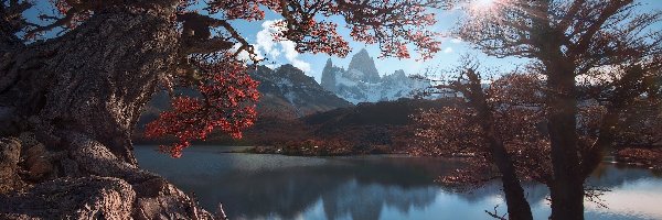 Promienie słońca, Góry Andy, Argentyna, Gałęzie, Fitz Roy, Park Narodowy Los Glaciares, Drzewa, Jesień, Góra, Patagonia