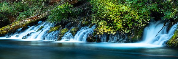 Zielone, Rzeka Metolius, Strumienie, Krzewy, Oregon, Stany Zjednoczone