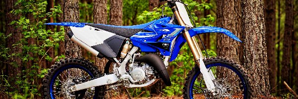 Drzewa, Yamaha YZ125X, 2020, Las, Terenowy, Motocykl