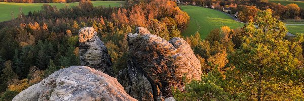 Góra Gamrig, Skały, Niemcy, Saksonia, Drzewa, Jesień, Park Narodowy Saskiej Szwajcarii, Góry Połabskie