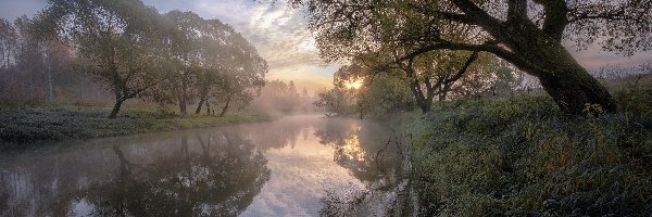 Trawa, Drzewa, Mgła, Wschód słońca, Poranek, Rosja, Obwód moskiewski, Rzeka Istra, Odbicie