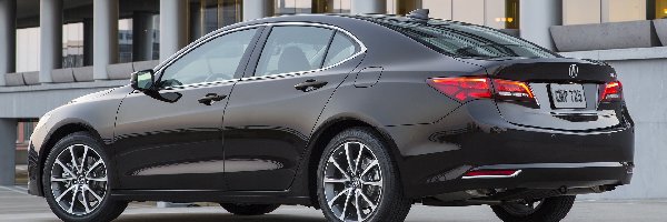 Bok, Acura TLX