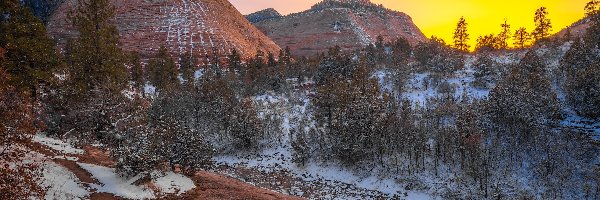 Wzgórza, Stany Zjednoczone, Zima, Stan Utah, Park Narodowy Zion, Drzewa, Śnieg