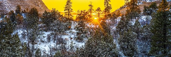 Drzewa, Śnieg, Stany Zjednoczone, Stan Utah, Park Narodowy Zion, Promienie słońca, Skały, Zima, Góry