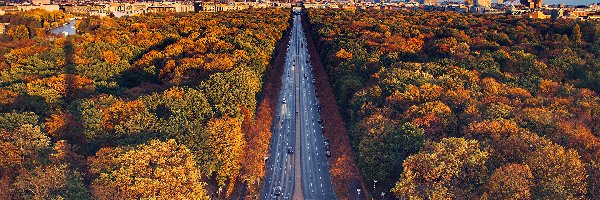 Niemcy, Droga, Drzewa, Autostrada, Jesień, Berlin, Las