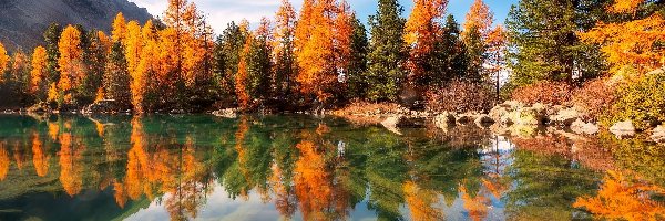 Jesień, Kolorowe, Drzewa, Odbicie, Jezioro, Góry