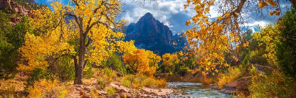 Kamienie, Góry Watchman, Rzeka, Park Narodowy Zion, Jesień, Stany Zjednoczone, Stan Utah, Virgin River, Drzewa
