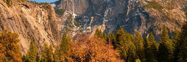 Drzewa, Park Narodowy Yosemite, Jesień, Kalifornia, Stany Zjednoczone, Szczyt Half Dome, Góry