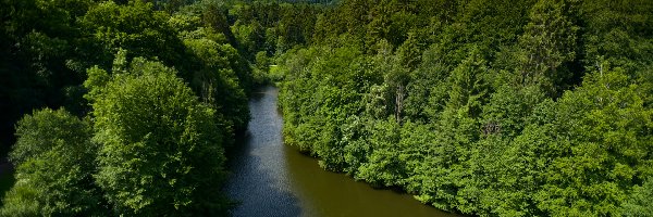 Las Teutoburski, Drzewa, Zielone, Niemcy, Rzeka