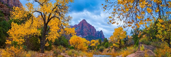 Virgin River, Rzeka, Drzewa, Góry Watchman, Park Narodowy Zion, Stany Zjednoczone, Stan Utah, Jesień, Kamienie