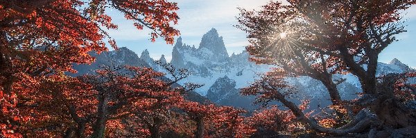 Jesień, Szczyt Fitz Roy, Góry, Park Narodowy Los Glaciares, Argentyna, Promienie słońca, Jesień, Patagonia, Drzewa